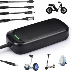 Universal 48V 54.6V 2A Charger for Electric Scooters & E-Bikes (4 Connectors)