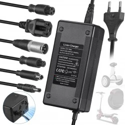 Universal 48V 54.6V 2A Charger for Electric Scooters & E-Bikes (6 Connectors)